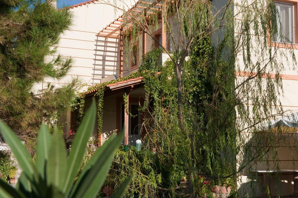 Zorbas Apartments Volissos Екстериор снимка