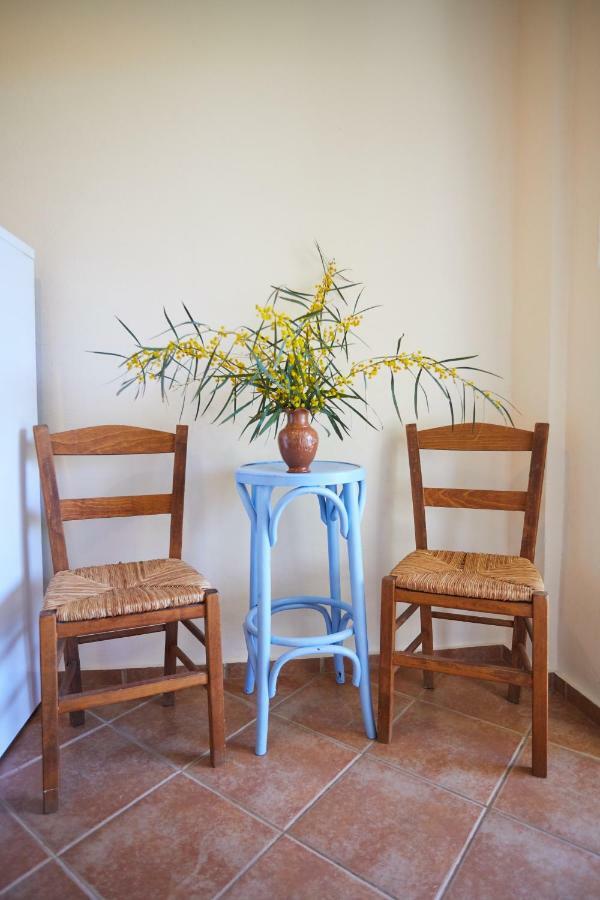 Zorbas Apartments Volissos Екстериор снимка