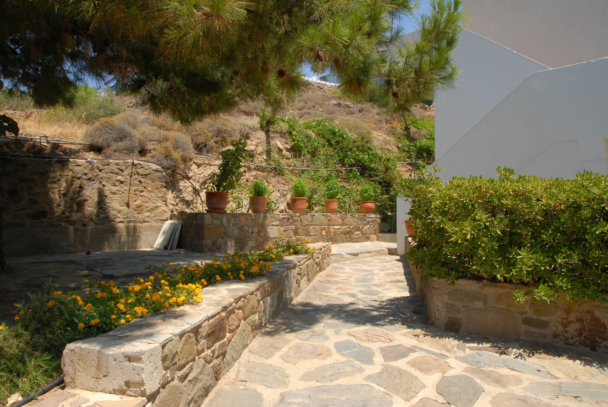 Zorbas Apartments Volissos Екстериор снимка